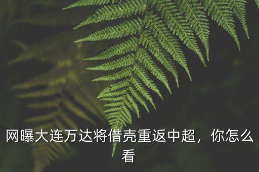 網(wǎng)曝大連萬達將借殼重返中超，你怎么看