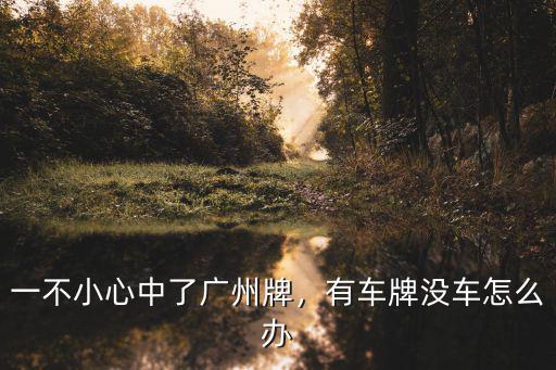 廣州搖號中簽后怎么上車牌,一不小心中了廣州牌