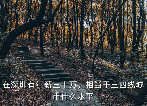 在深圳有年薪三十萬，相當于三四線城市什么水平