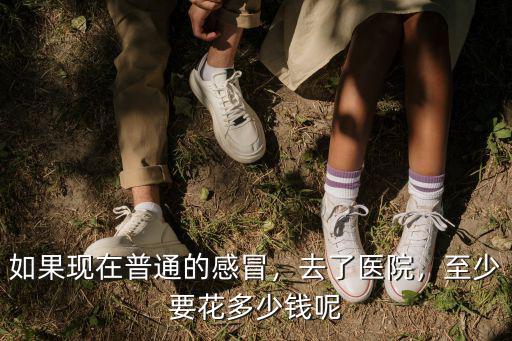 如果現(xiàn)在普通的感冒，去了醫(yī)院，至少要花多少錢呢