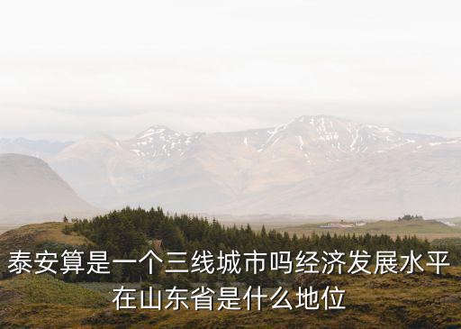 泰安算是一個三線城市嗎經濟發展水平在山東省是什么地位