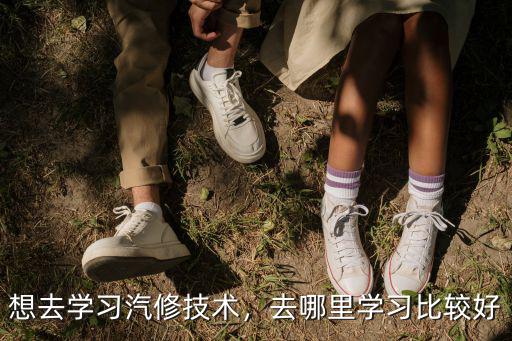 在廣州想學手藝去哪里好,去哪里學技術好