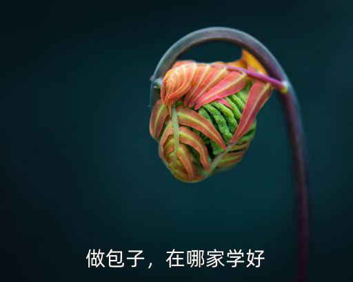 清遠哪里有學包子的,哪里可以學做包子技術