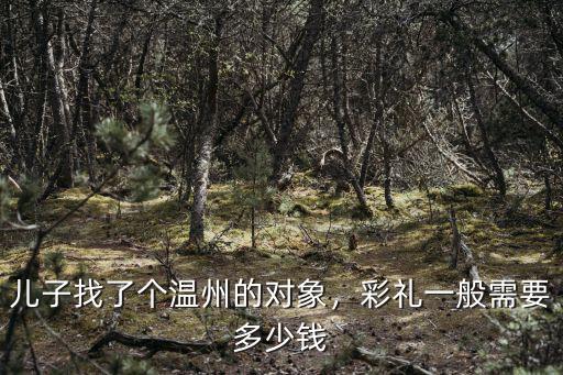 浙江一般彩禮錢多少合適,娶個媳婦得花多少錢