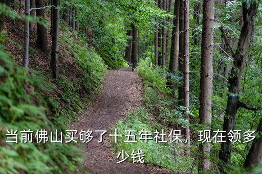 當前佛山買夠了十五年社保，現在領多少錢