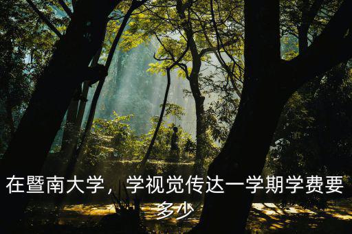 廣州暨南大學新生一學期多少學費,學視覺傳達一學期學費要多少