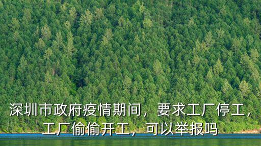 深圳市政府疫情期間，要求工廠停工，工廠偷偷開工，可以舉報嗎