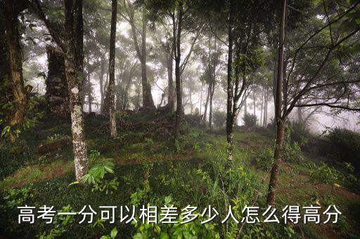 高考一分可以相差多少人怎么得高分