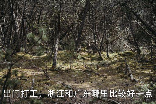 廣東和浙江哪里最好,哪里比較適合安家