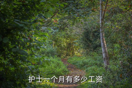 護(hù)士一個(gè)月有多少工資