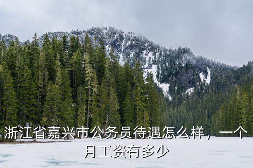 浙江省嘉興市公務(wù)員待遇怎么樣，一個月工資有多少