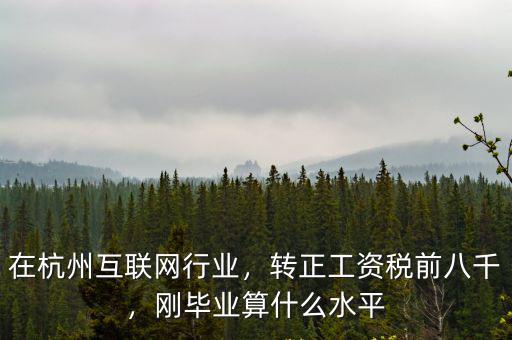 在杭州互聯(lián)網(wǎng)行業(yè)，轉(zhuǎn)正工資稅前八千，剛畢業(yè)算什么水平
