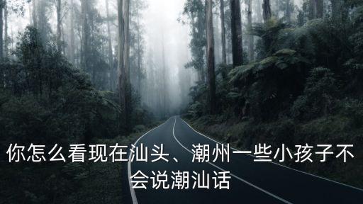 汕頭宕石大橋潮汕話怎么說,汕頭話和揭陽話有什么區(qū)別