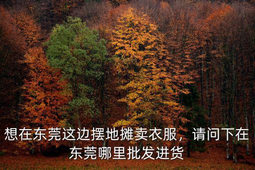想在東莞這邊擺地攤賣衣服，請問下在東莞哪里批發進貨