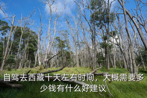 濟南自駕去西藏十日游多少錢,大概需要多少錢