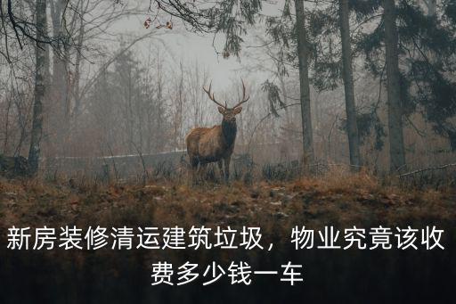 深圳新湖垃圾清運一車多少錢,新房裝修清運建筑垃圾