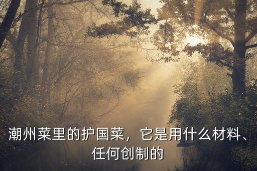 汕頭哪里有護國菜,潮州菜里的護國菜