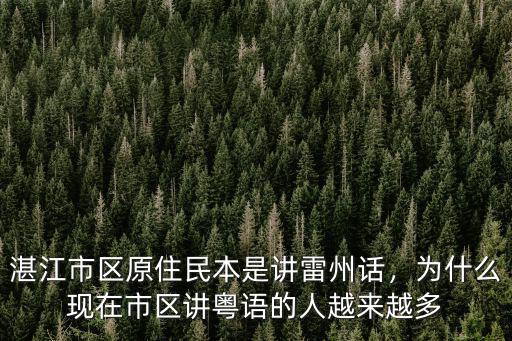 湛江市區哪里有雷州拉粉賣,湛江雷州哪里最值得去玩