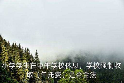 汕頭小學(xué)學(xué)校午托怎么收費,小學(xué)學(xué)生在中午學(xué)校休息