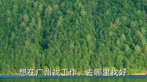大專護士去廣州哪里好找工作,想在廣州找工作