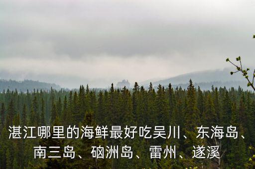 湛江遂溪哪里有海鮮市場,湛江哪里有好的海鮮干貨