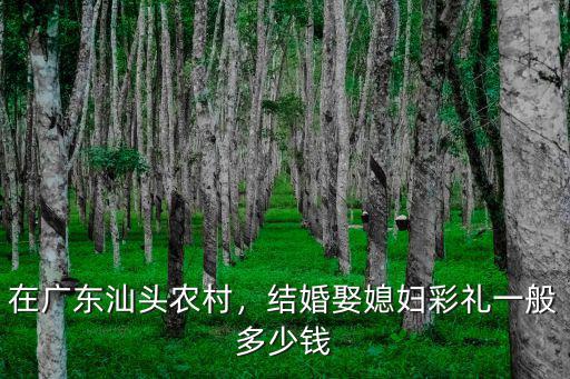 汕頭男方彩禮多少,結婚娶媳婦彩禮一般多少錢