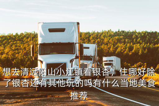 想去清遠陽山小江鎮看銀杏，住哪好除了銀杏還有其他玩的嗎有什么當地美食推薦