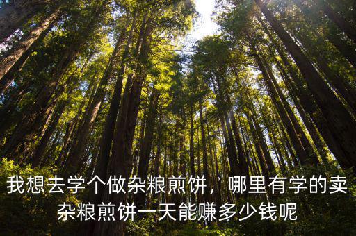 山東雜糧煎餅鍋多少錢一個,賣山東雜糧煎餅怎么樣