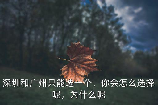 華為當年怎么選擇深圳,你為什么選擇在深圳發展