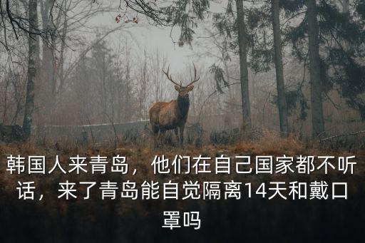 韓國去青島需要隔離多少天,韓國人來青島