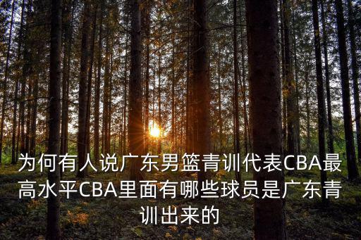 為何有人說廣東男籃青訓代表CBA最高水平CBA里面有哪些球員是廣東青訓出來的