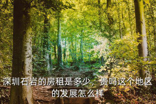 深圳下十圍單房租金多少合適,深圳的房租價格大概是多少