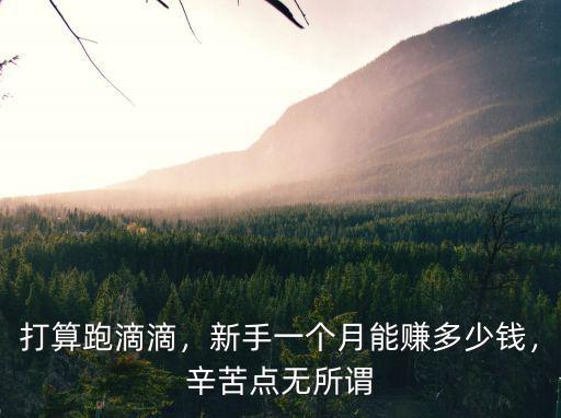 在杭州開滴滴一個月有多少錢一個月,打算在杭州租輛合規車