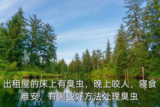 廣東的床上有臭蟲怎么消滅,出租屋的床上有臭蟲