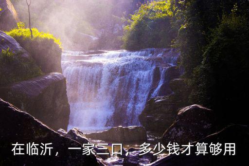 在臨沂，一家三口，多少錢才算夠用