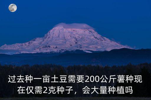過去種一畝土豆需要200公斤薯種現(xiàn)在僅需2克種子，會大量種植嗎