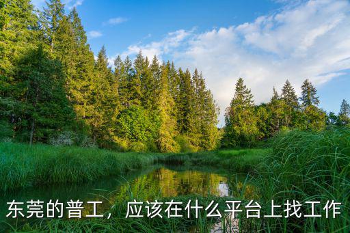東莞的普工，應(yīng)該在什么平臺(tái)上找工作