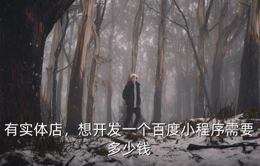 肇慶百度小程序開發多少錢,百度智能小程序開發要多少錢