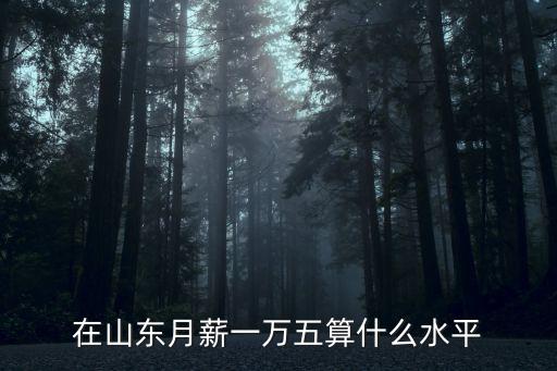 山東平均工資水平是多少,山東省社會(huì)平均工資公布