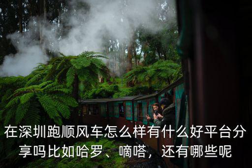 在深圳跑順風車怎么樣有什么好平臺分享嗎比如哈羅、嘀嗒，還有哪些呢