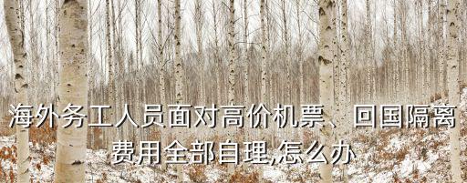 海外務工人員面對高價機票、回國隔離費用全部自理,怎么辦