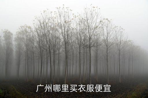廣州越秀區(qū)哪里有妹子,廣州有哪些城中村