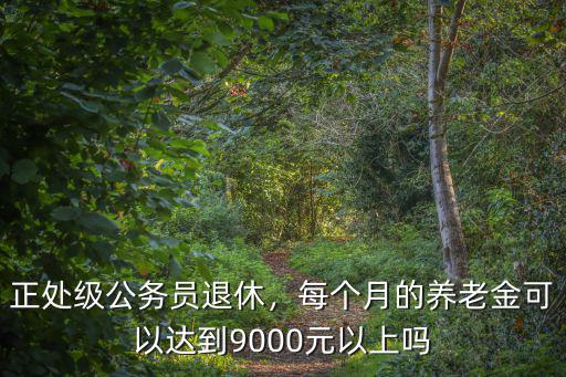 正處級(jí)公務(wù)員退休，每個(gè)月的養(yǎng)老金可以達(dá)到9000元以上嗎