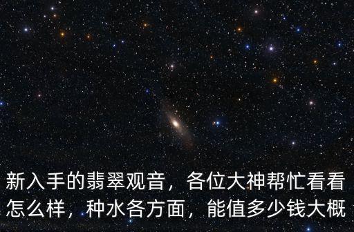 濱州玉觀音翡翠多少錢,這翡翠觀音怎么樣