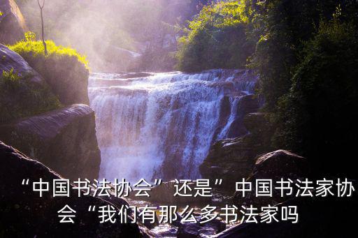 聊城有多少中國書法家協(xié)會會員,中國書法家協(xié)會的會長