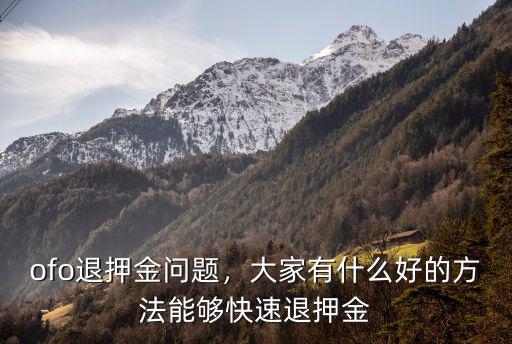 ofo退押金問(wèn)題，大家有什么好的方法能夠快速退押金