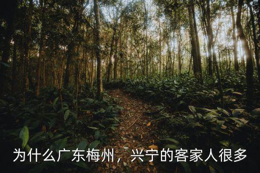 為什么廣東梅州，興寧的客家人很多