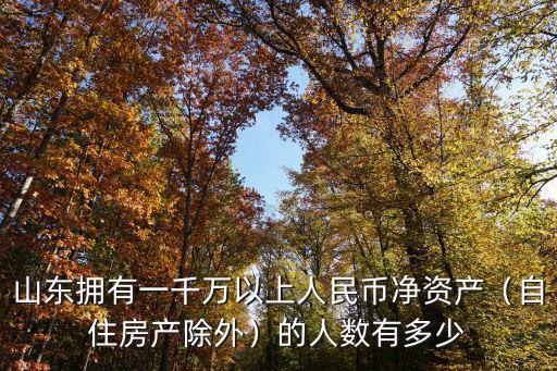 山東擁有一千萬(wàn)以上人民幣凈資產(chǎn)（自住房產(chǎn)除外）的人數(shù)有多少