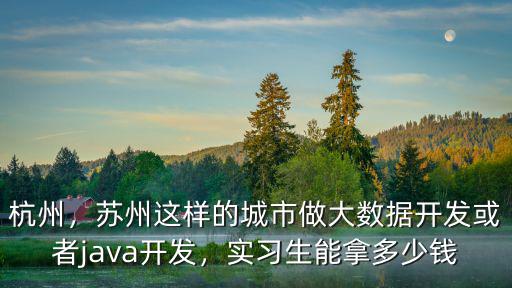 杭州，蘇州這樣的城市做大數(shù)據(jù)開(kāi)發(fā)或者java開(kāi)發(fā)，實(shí)習(xí)生能拿多少錢(qián)