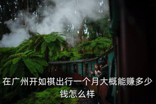 在廣州開網(wǎng)約車一個(gè)月能賺多少錢,廣州網(wǎng)約車每月可以賺多少錢